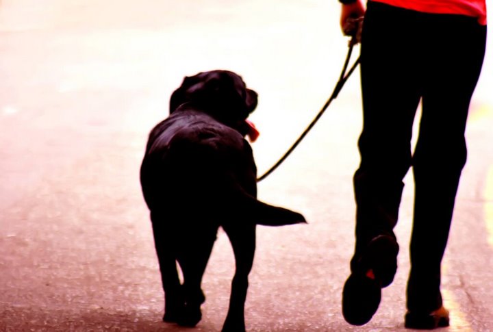 Фото из открытых источников (иллюстративное)