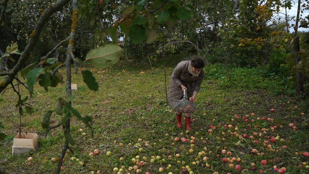 Молодая семья купила старый дом в белорусской деревне — и обставляет его вещами бабушек и дедушек