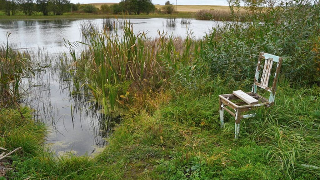 Молодая семья купила старый дом в белорусской деревне — и обставляет его вещами бабушек и дедушек