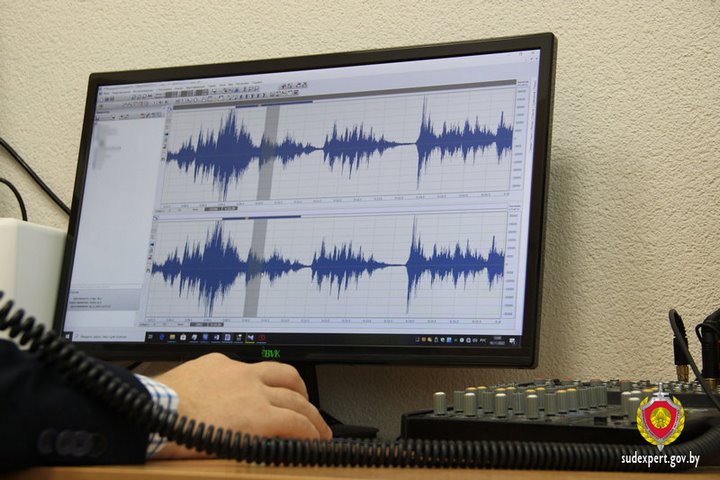 Все тайное становится явным. Кто и что говорил в соседском конфликте – разбирались судебные эксперты