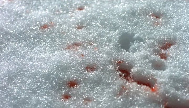 Фото из открытых источников (иллюстративное)