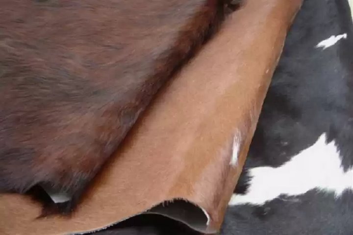 Фото из открытых источников (иллюстративное)