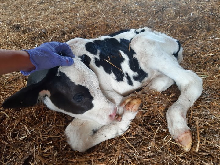 «Просыпаюсь в четыре утра, пять минут на сборы — и пошел». Истории белорусов, которые встают на работу очень рано