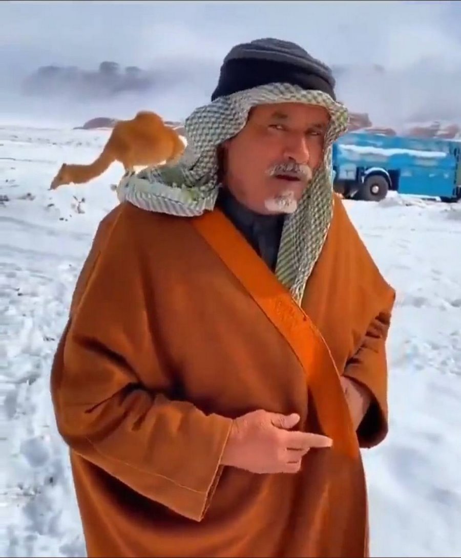 В Саудовской Аравии выпал снег. Верблюды не понимают, что делать, а люди веселятся