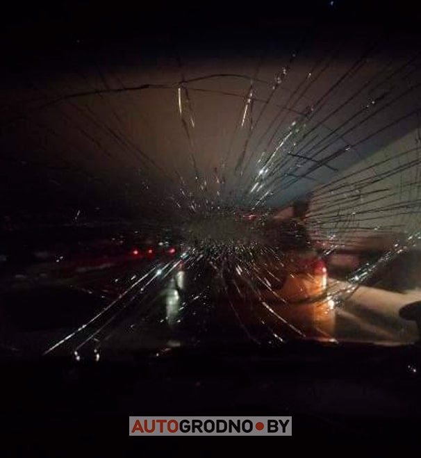 Самая дорога поездка в Польшу: поляк разбил белорусу стекло в очереди