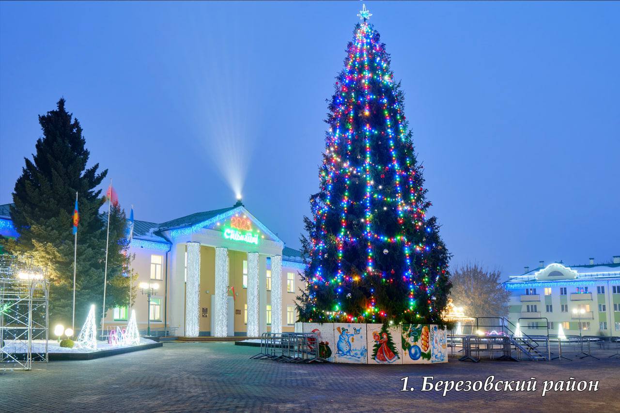 В Брестской области выбрали лучшую елку