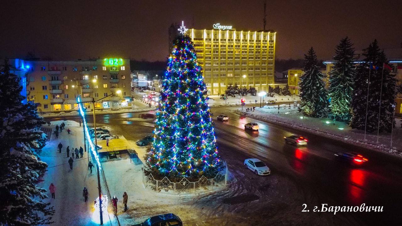 В Брестской области выбрали лучшую елку