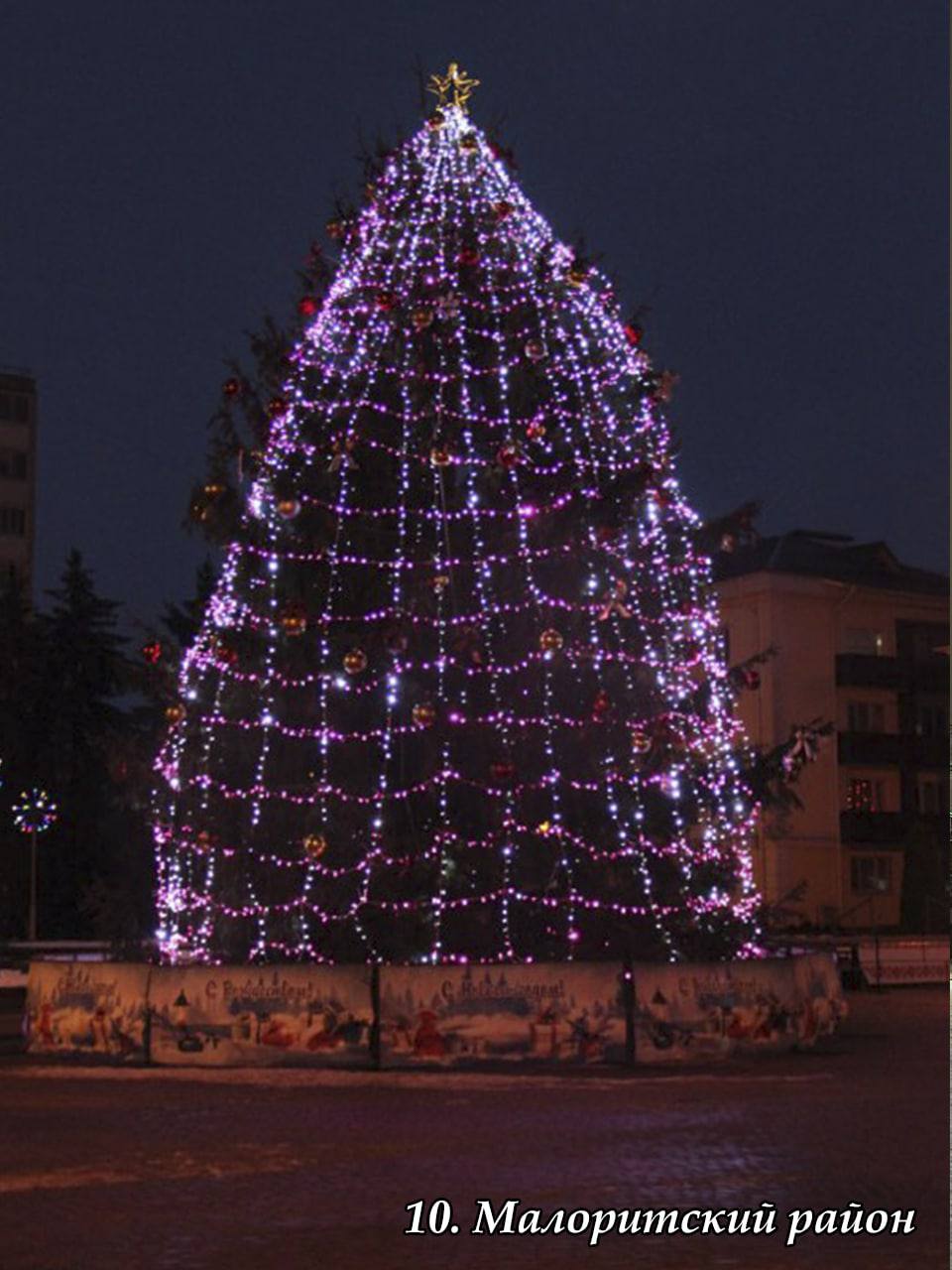 В Брестской области выбрали лучшую елку