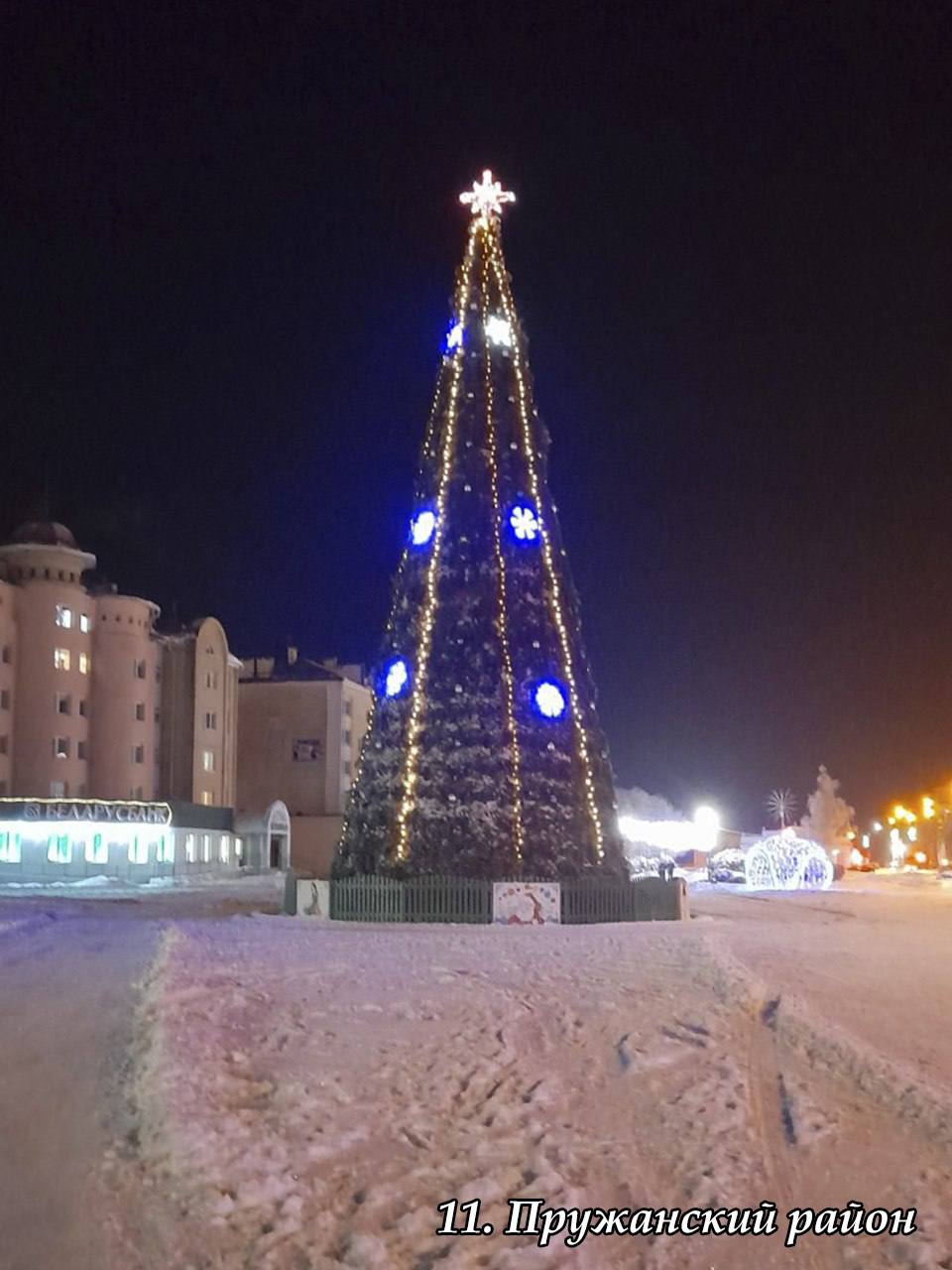 В Брестской области выбрали лучшую елку