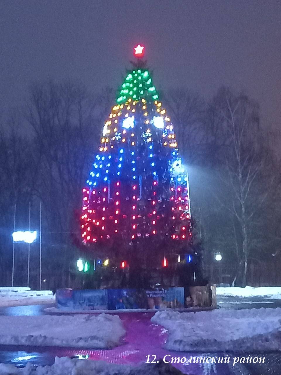 В Брестской области выбрали лучшую елку