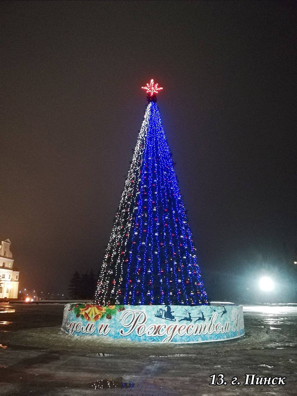 В Брестской области выбрали лучшую елку