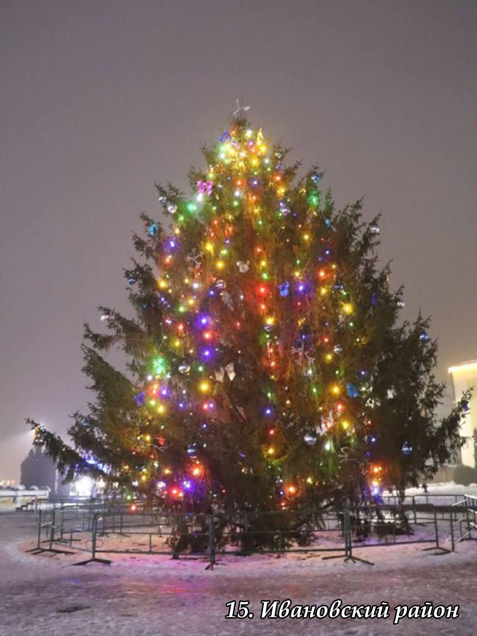 В Брестской области выбрали лучшую елку