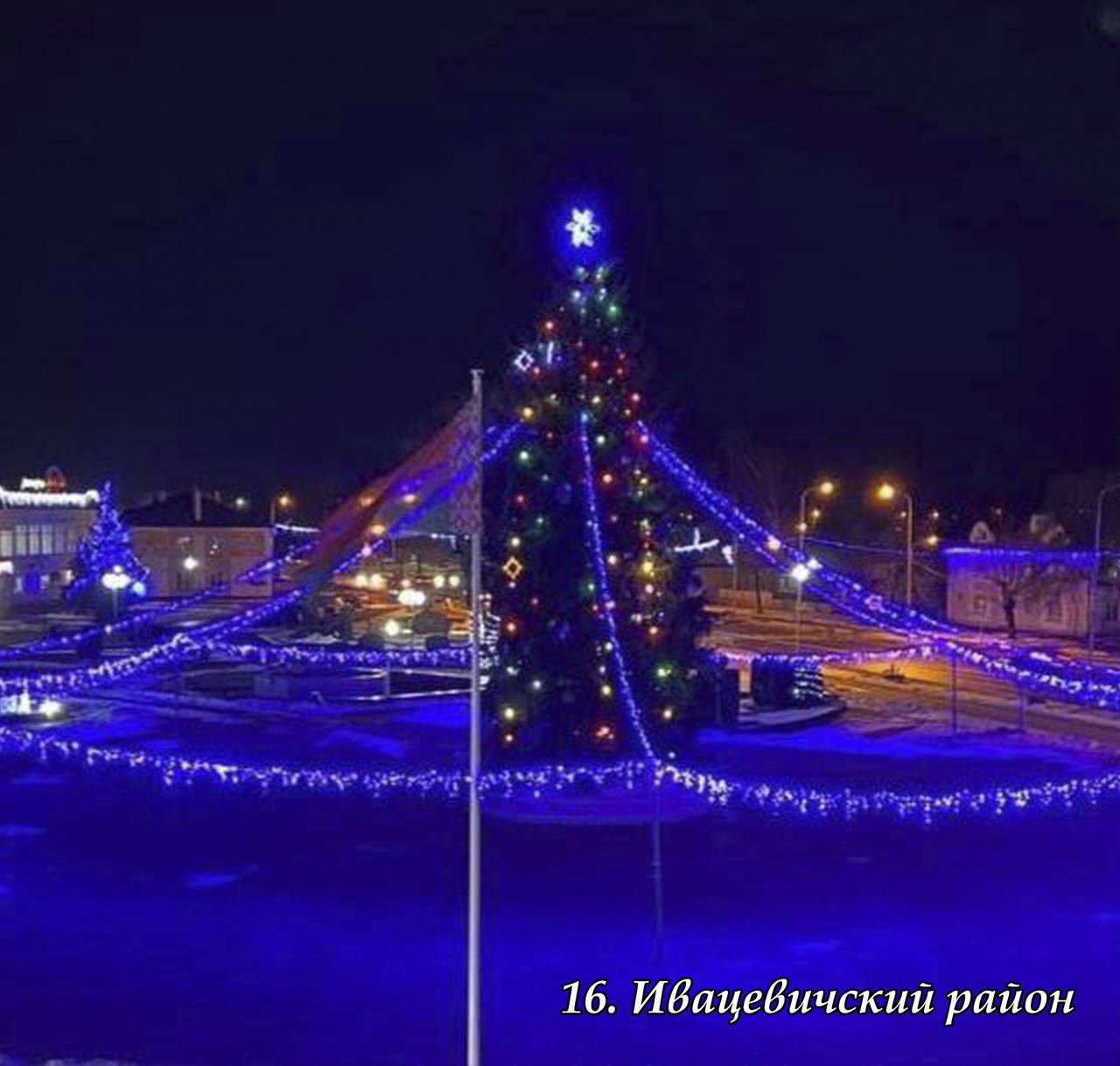 В Брестской области выбрали лучшую елку