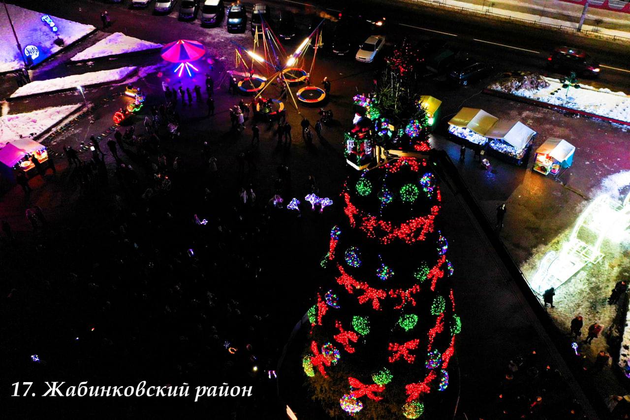 В Брестской области выбрали лучшую елку