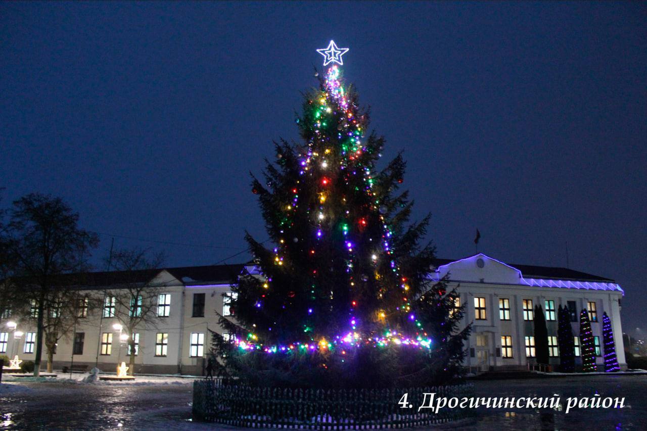 В Брестской области выбрали лучшую елку