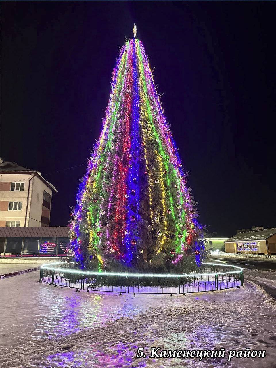 В Брестской области выбрали лучшую елку