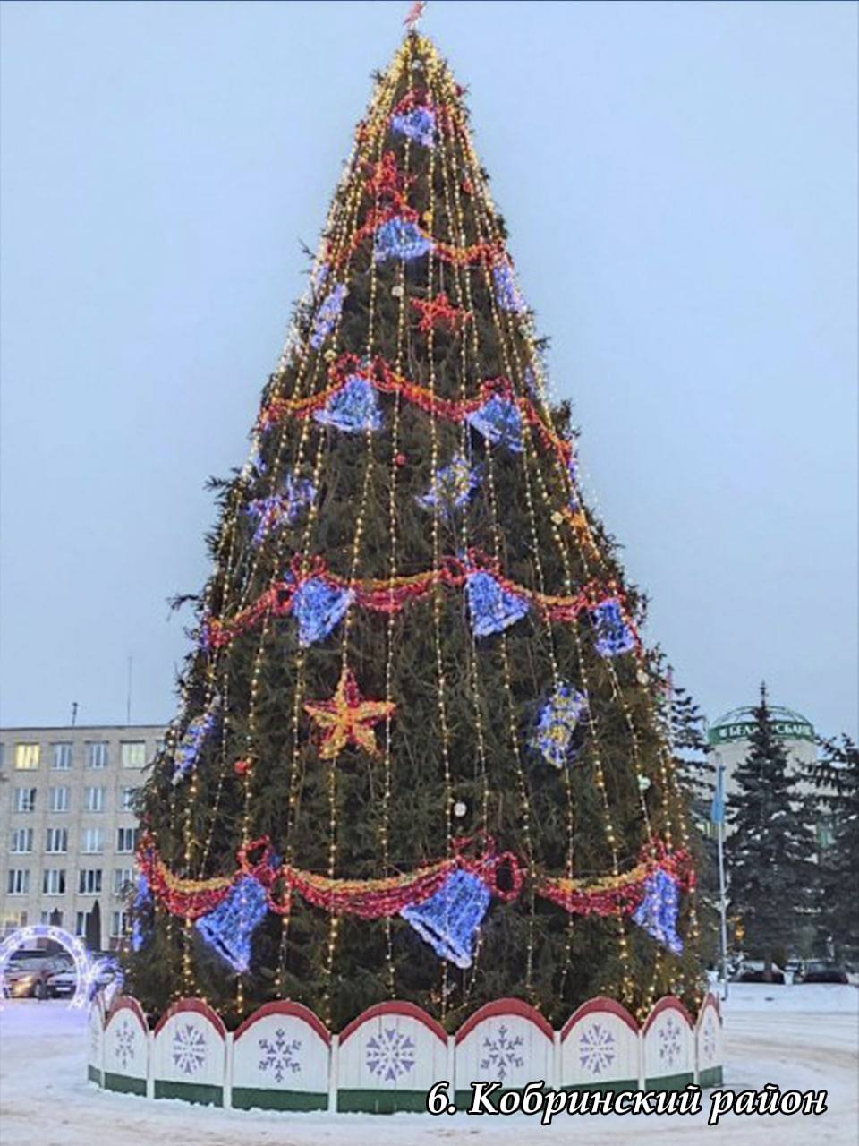 В Брестской области выбрали лучшую елку