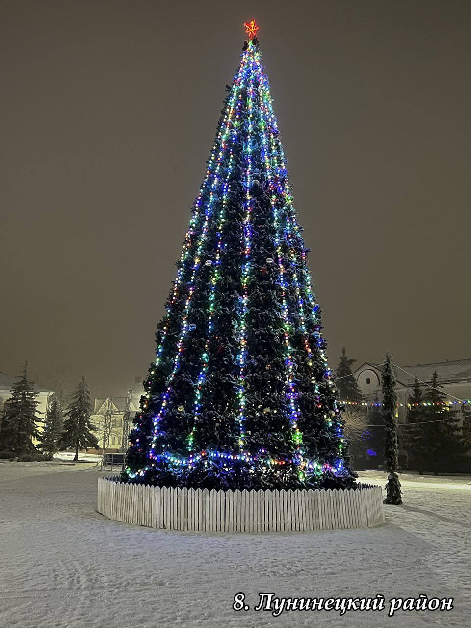 В Брестской области выбрали лучшую елку