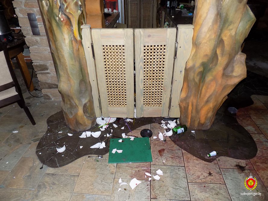 Пьяный мужчина разгромил агроусадьбу в Кобринском районе