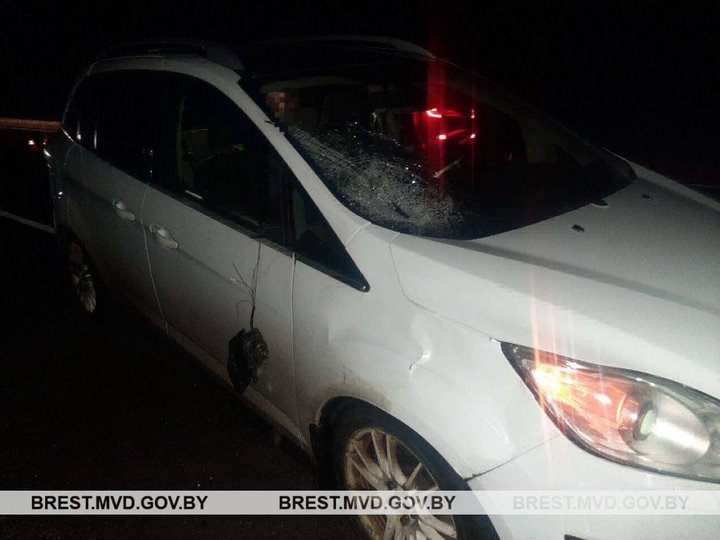 Житель Берёзы сбил пешехода в Столинском районе