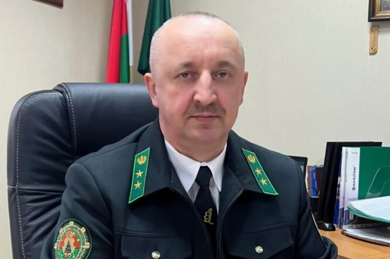 В лесу родили ёлочку. Метровая лесная красавица с момента посадки семян растет минимум 8 лет