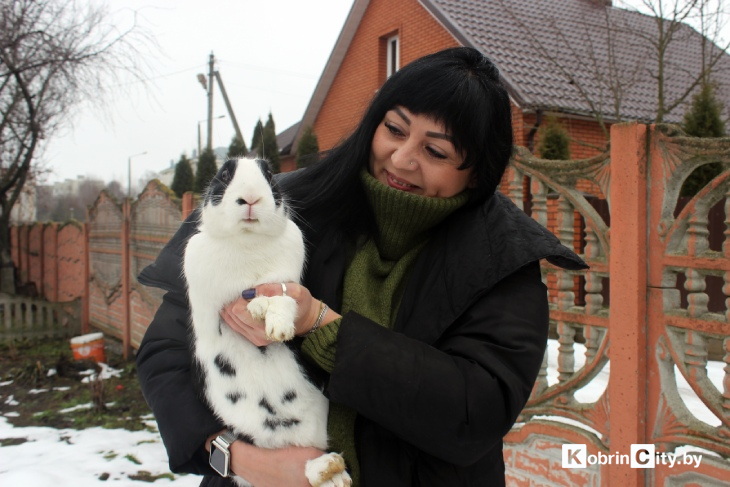 Ещё год назад у кобринчанки Натальи из питомцев были только кот и собака, а сейчас у неё уже более 50-ти кроликов