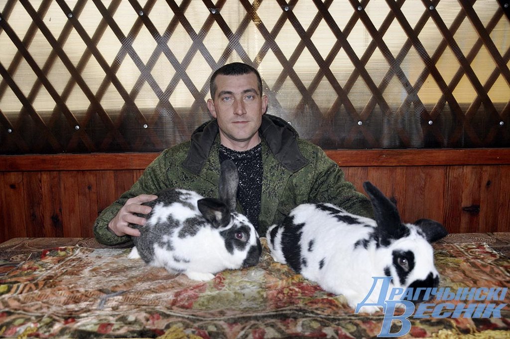 Кролики – это не только ценный мех. Житель Дрогичина поделился секретами кролиководства
