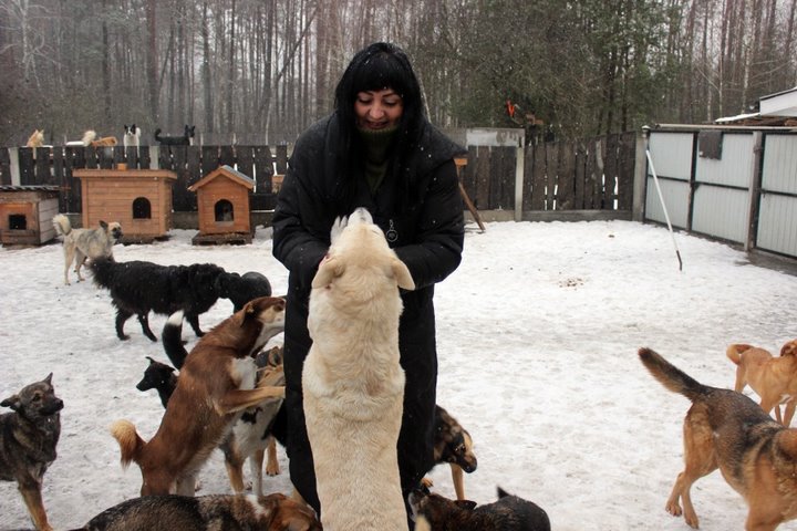 Кобринские байкеры поздравили с Новым годом одиноких животных и привезли им вкусные подарки