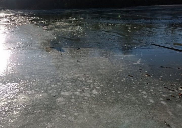 Фото из открытых источников (иллюстрация)