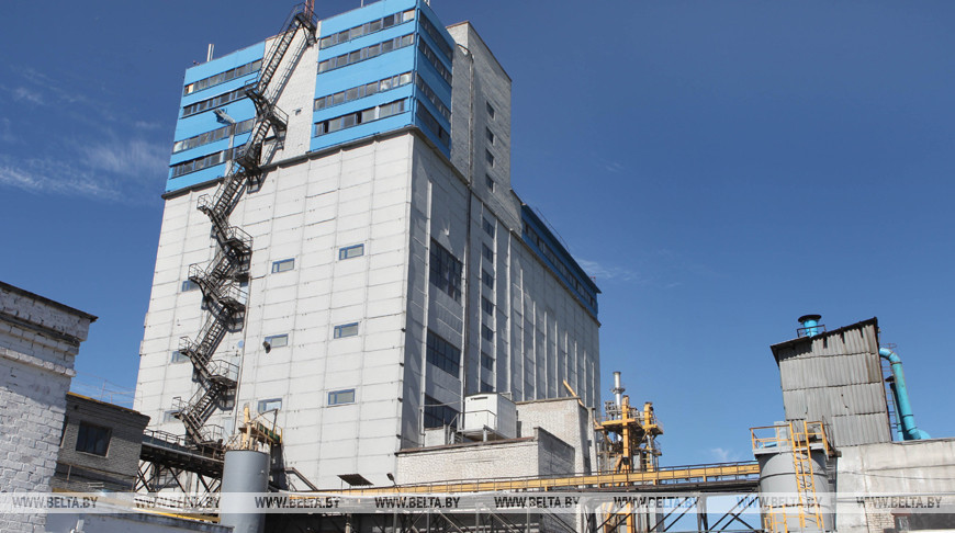 Жабинковский комбикормовый завод построит линию по выпуску сухих кормов для домашних питомцев