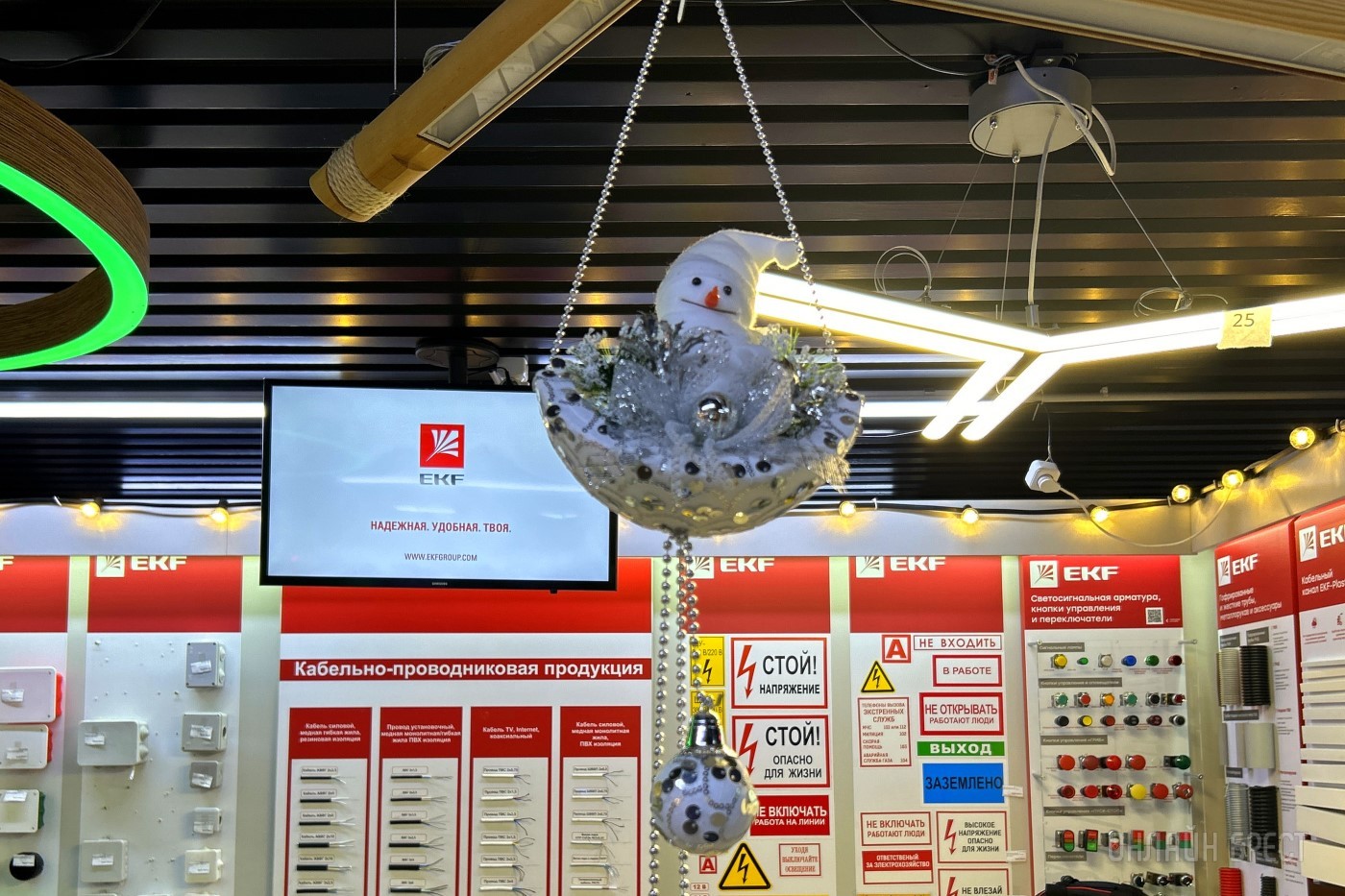 Новый 2024 год не наступит без Всей Электрики