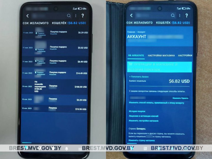 Брестчанин потратил деньги своего коллеги на онлайн-игры