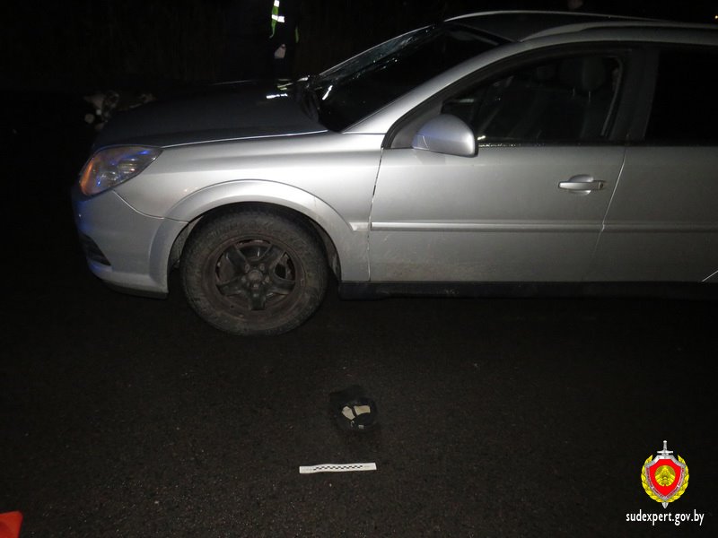 Эксперты установили личность сбитого пешехода в Бресте