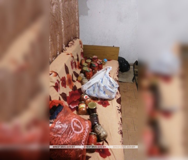 Похитил чужие продукты к своему новогоднему столу. Случай в Брестском районе