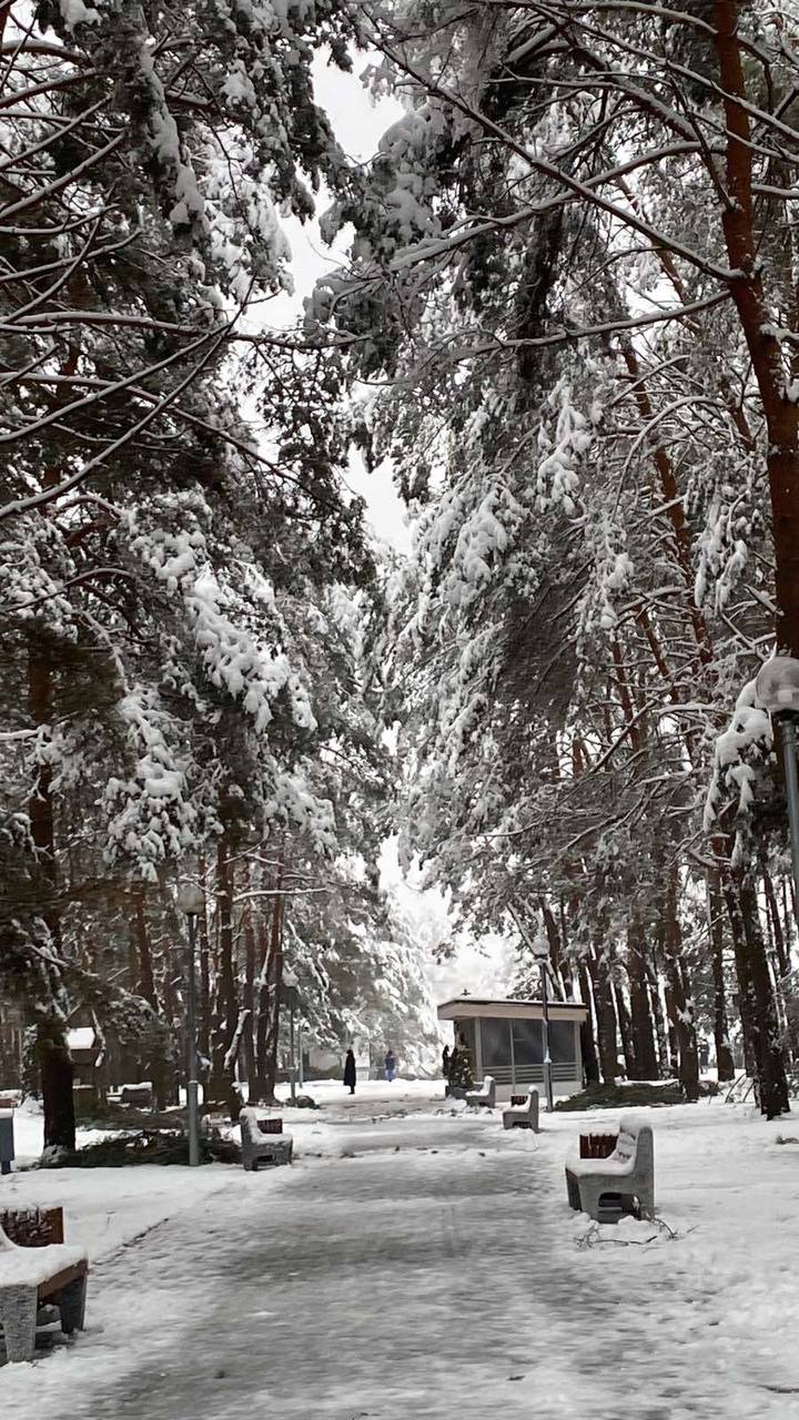 Жителей Бреста просят временно не ходить в парки. И вот почему