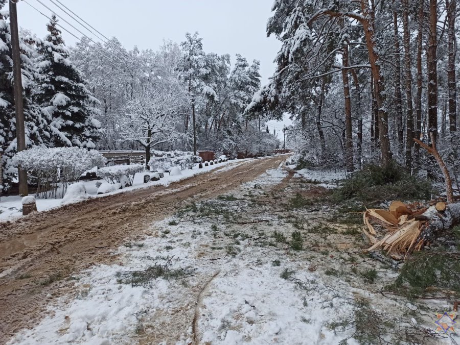 В МЧС рассказали о последствиях непогоды на Брестчине