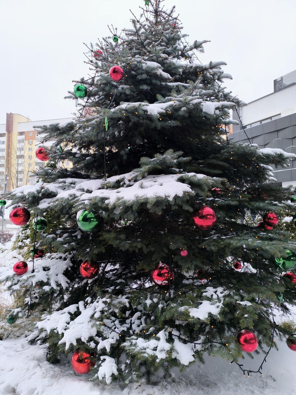 Xiaomi Redmi Note 13 Pro+