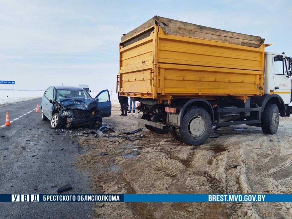 Автомобиль въехал в грузовик в Каменецком районе