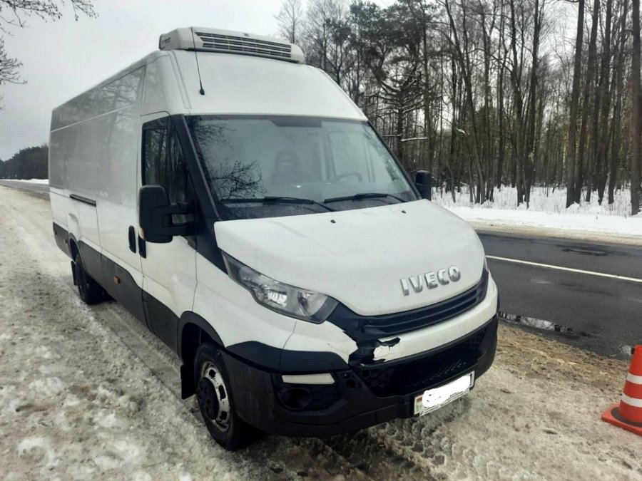 Водитель из Бреста сбил зайца