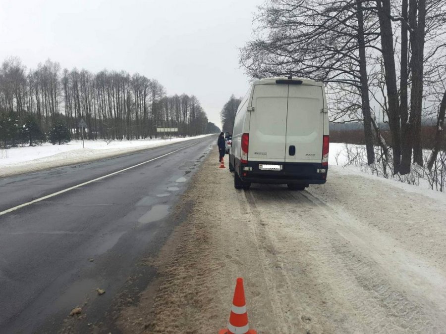 Водитель из Бреста сбил зайца