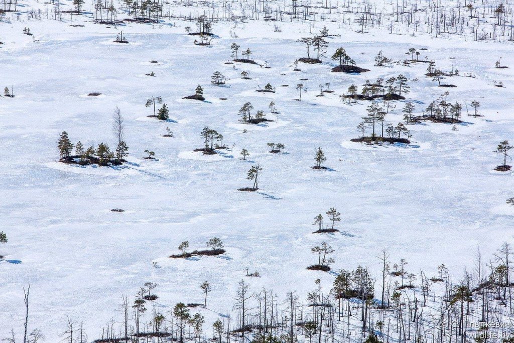 7 красивейших мест для отдыха на белорусской природе в феврале