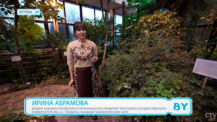 От тропиков до знойной пустыни. Вот какие самые необычные растения есть в Зимнем саду в Бресте