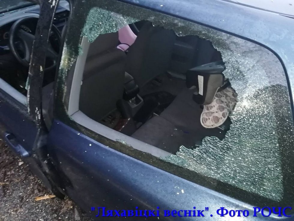 Дерево упало на проезжающий автомобиль под Ляховичами