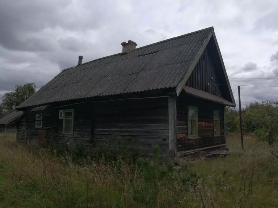 Рядом с пущей и на Мальдивах. Смотрите, какие дома в Беларуси можно купить за 40 рублей