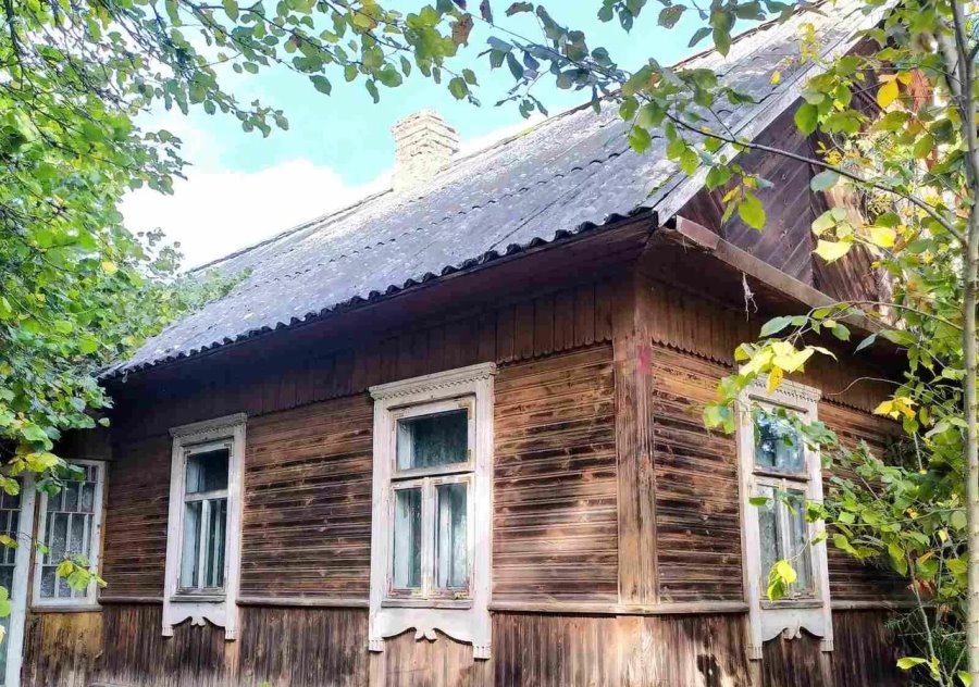 Рядом с пущей и на Мальдивах. Смотрите, какие дома в Беларуси можно купить за 40 рублей