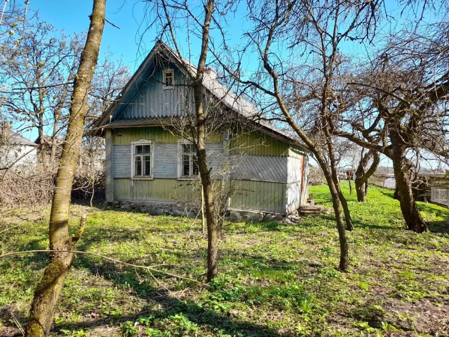 Рядом с пущей и на Мальдивах. Смотрите, какие дома в Беларуси можно купить за 40 рублей