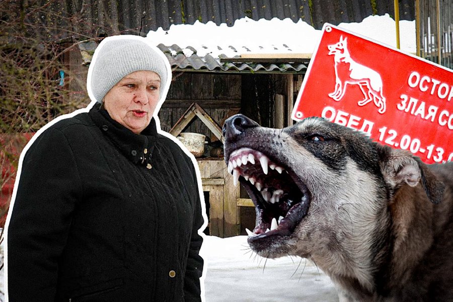 Осторожно, злые соседи. Односельчане стали врагами после нападения собаки