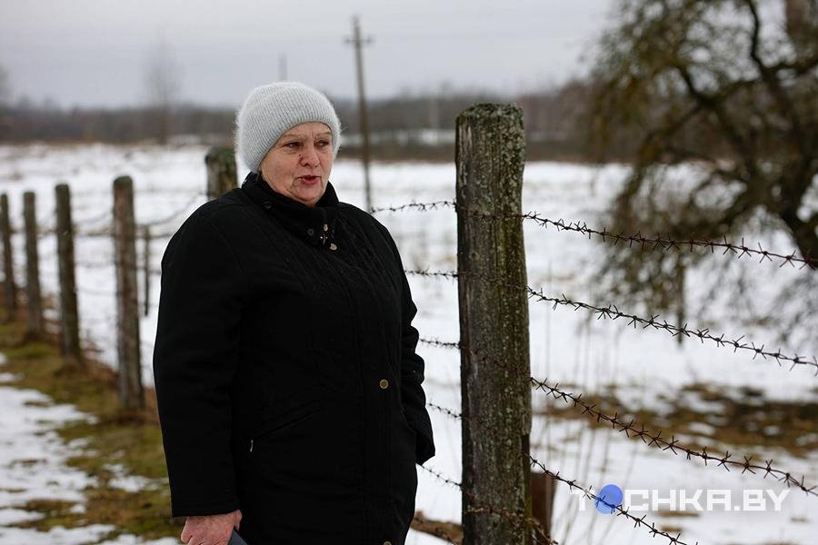 Осторожно, злые соседи. Односельчане стали врагами после нападения собаки