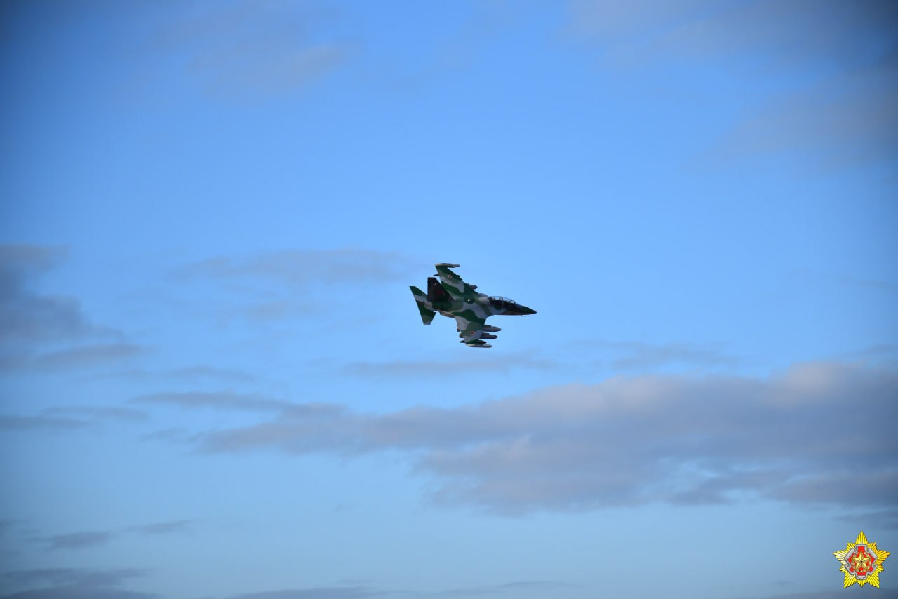 Учение для десантников 38-й десантно-штурмовой бригады прошло на полигоне Брестский