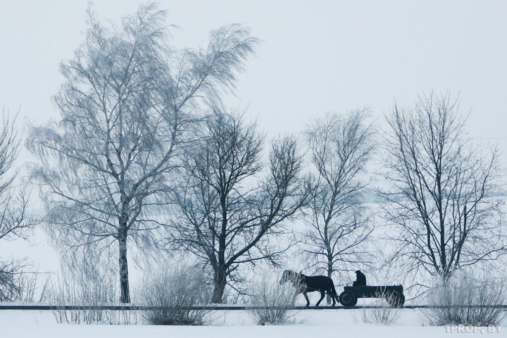 Общественный транспорт «забыл» дорогу к агрогородку на окраине Беловежской пущи